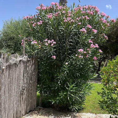 בית נופש Margiu וילסימיוס